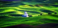 109 - AMAZING GREEN FIELD - YEUNG KITTY - canada